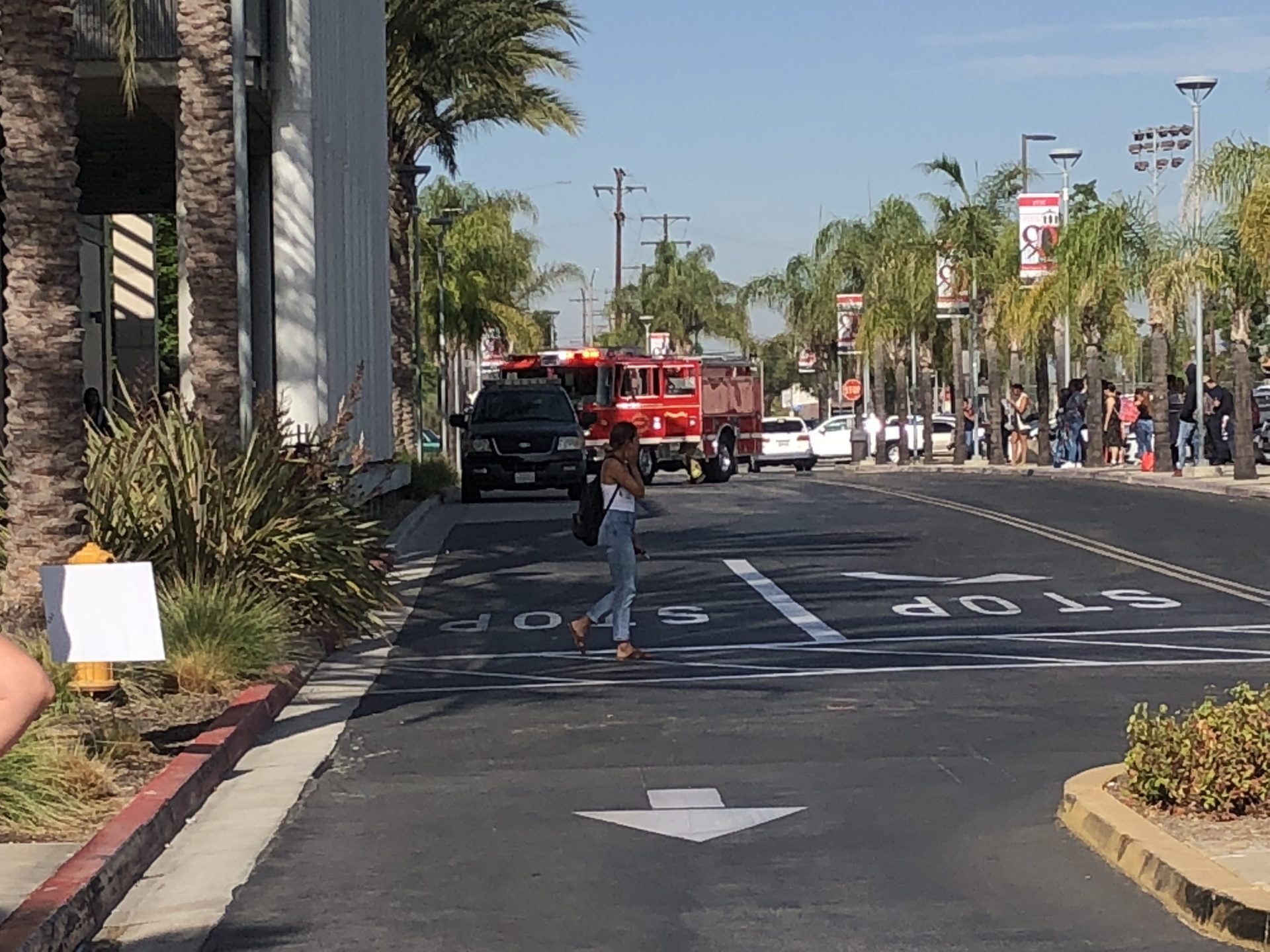 false-fire-alarm-causes-disturbance-at-pcc-lbcc-viking-news