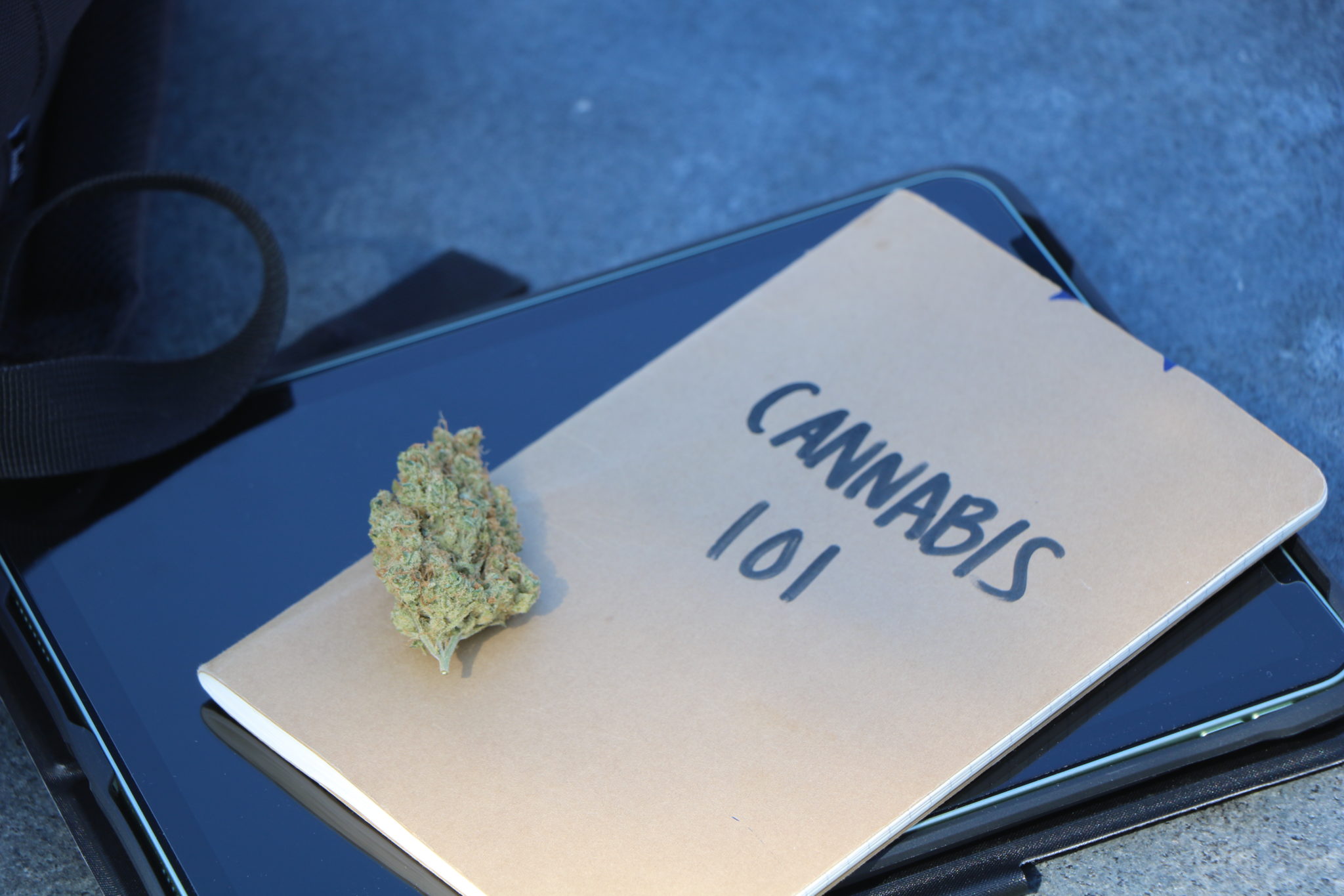 cannabis-course-to-start-next-tuesday-at-lbcc-lbcc-viking-news